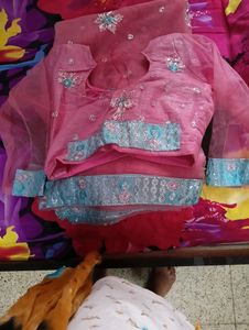 Pink n Blue Net Saree