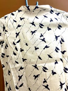 Avaasa Mix N’match Straight Kurta