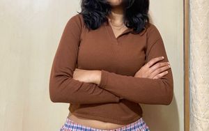 Brown V-neck Long Sleeve Top