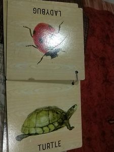 Educational Game For Kids