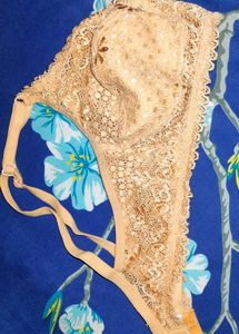 Lingerie Net Lace Bra (40/100)(Non-padded)