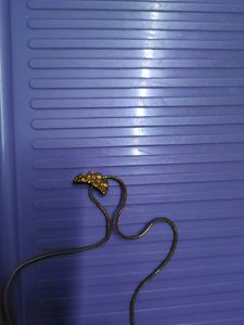 Delicate Chain  , Antique Gold Look Alike Color