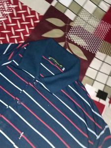 Striped Polo Shirt