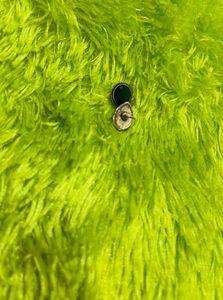 Stud Earrings - Set of 4