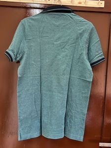 Arrow Polo Shirt - Teal