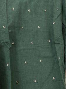 FabIndia Top