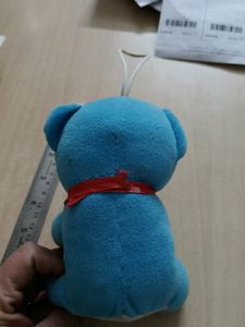 Little Teddy Bear 🧸