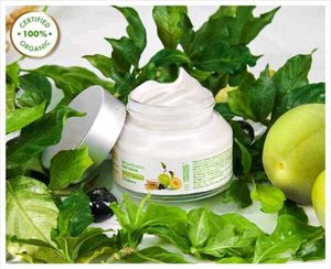 Organic Harvest Night Cream