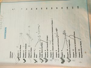 Combo NCERT SCIENCE BOOK Class 6&amp;7th(English Medi