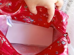 Ladies Handbag