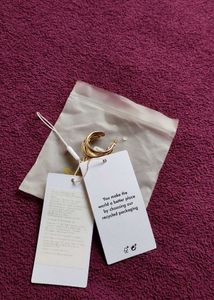 Chic Gold Plated Hoop Earrings