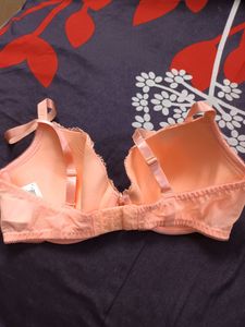 Padded Bra 36 D
