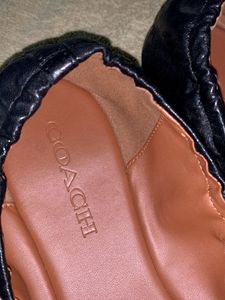 Coach Bellies Black With Golden Logo