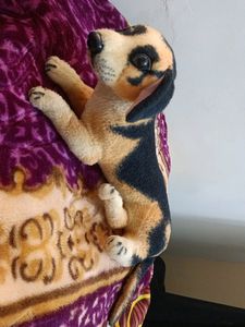 Cute Dog 🐕 Toy
