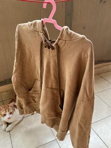 Brown Colour Hoodie