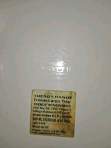 Trendy Large Tray