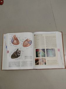 Martini Fundamentals Of Anatomy &amp; Physiology Book