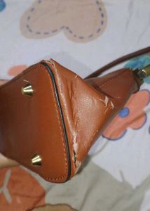 Brown Hobo Bag