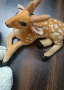 Kids Toys