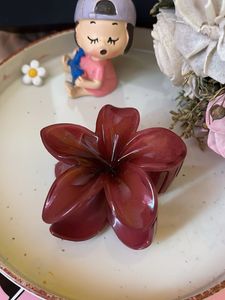 Adorable Maroon Clutcher