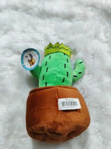 Imported Cactus🌵 Softtoy plushies