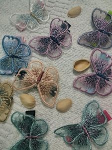 Fancy Butterfly Hair Clip