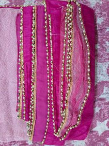 Pink Beaded Saree