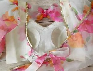 Farewell Organza Saree