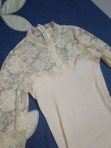 Sleeves Solid Women Top