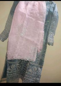 New Organza Kurta Set
