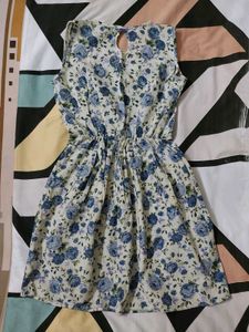 Floral Print Sleeveless Dress