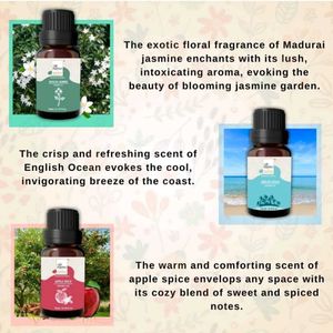 Diffuser Oil Combo @199/-