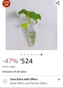 Wall-mounted Flower Pots