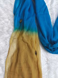 🆕 Blue &amp; Gold Dupatta