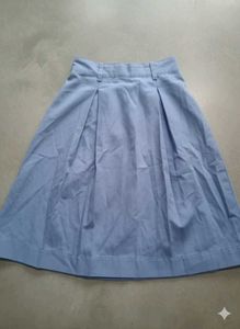 Blue Pleated Skirt