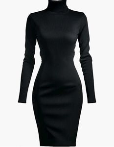 Black Turtle Neck Dress