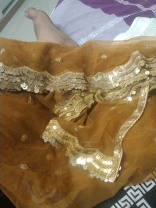 Fancy Party Wear Dupatta