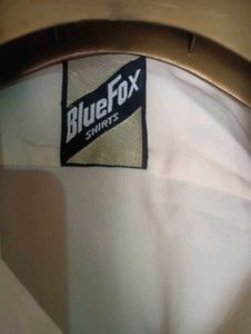 BlueFox Shirt For Men