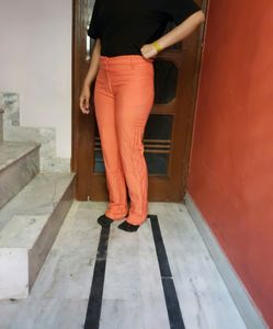 Pant