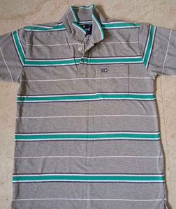 Striped Polo Shirt