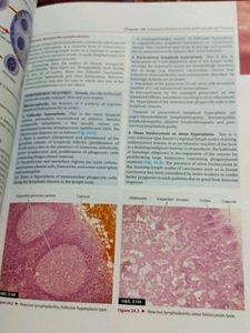 New Dental Pathology Book