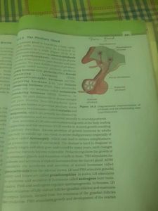NCERT