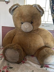 Big Size Teddy
