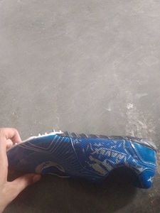 Blue Sports Shoes