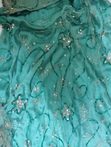 Elegant Lehenga Choli