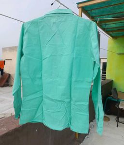 Sea Green Button-Down Shirt