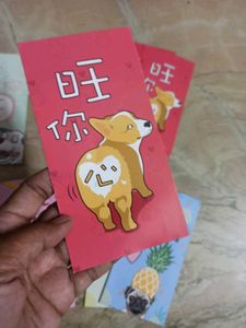 17pcs Money Envelopes (Imported)