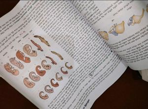 Class 12 Bengali Biology Book