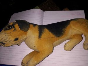 Dog Plush Toy