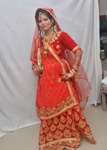 Red Velvet Saree